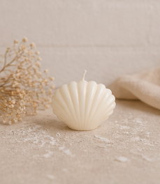 Shell candle